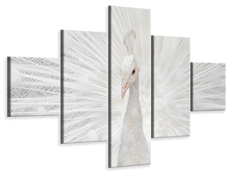 5-piece-canvas-print-splendid-whitie