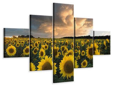 panoramic-canvas-print-the-seagulls-and-the-sea-at-sunrise