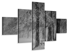 5-piece-canvas-print-transformation