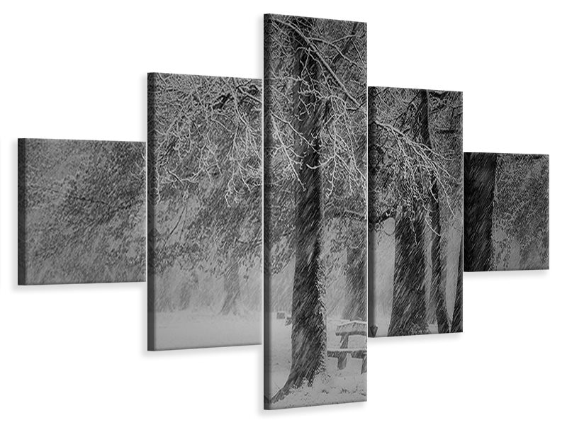 5-piece-canvas-print-transformation