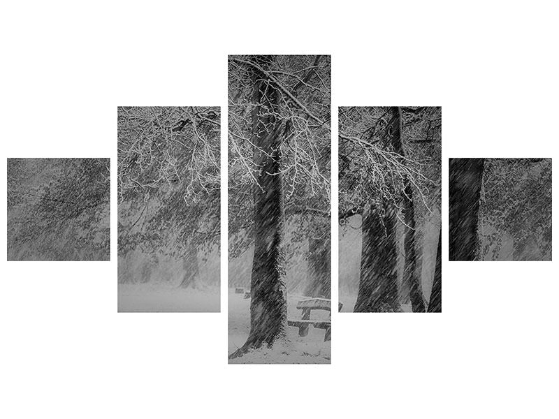 5-piece-canvas-print-transformation