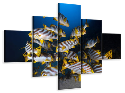 5-piece-canvas-print-underwater-photography-indian-ocean-sweetlips