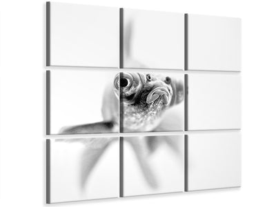 9-piece-canvas-print-im-ready-for-my-close-up