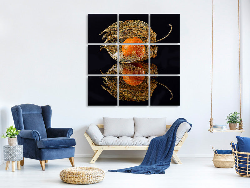 9-piece-canvas-print-physalis