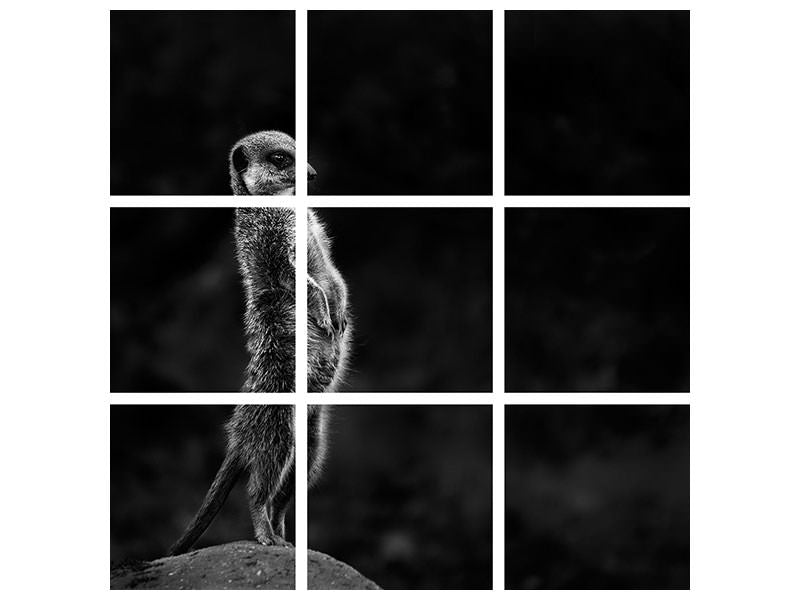 9-piece-canvas-print-the-meerkat