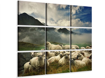panoramic-canvas-print-the-seagulls-and-the-sea-at-sunrise