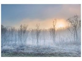 canvas-print-a-touch-of-winter