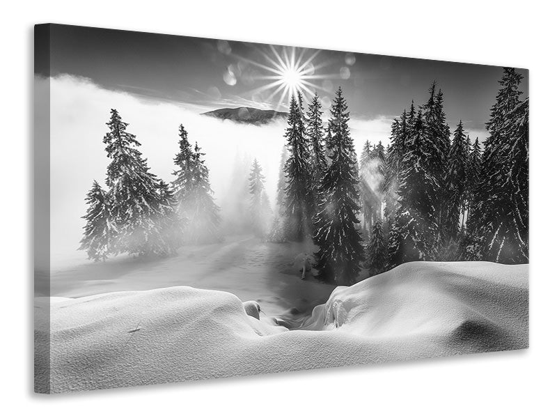 canvas-print-a-winter-tale