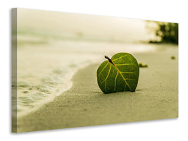 canvas-print-beach-leaf