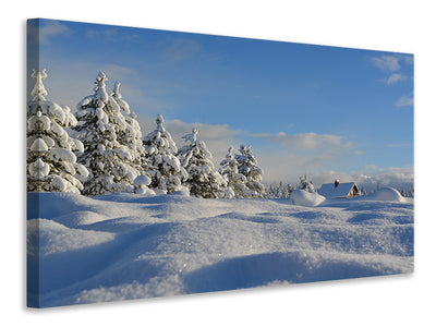 canvas-print-beautiful-snow-landscape