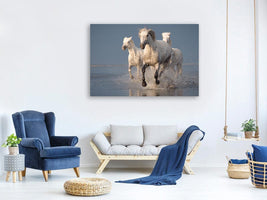 canvas-print-camargue-horses-on-sunset-x