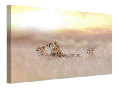 canvas-print-cheetah-family-x