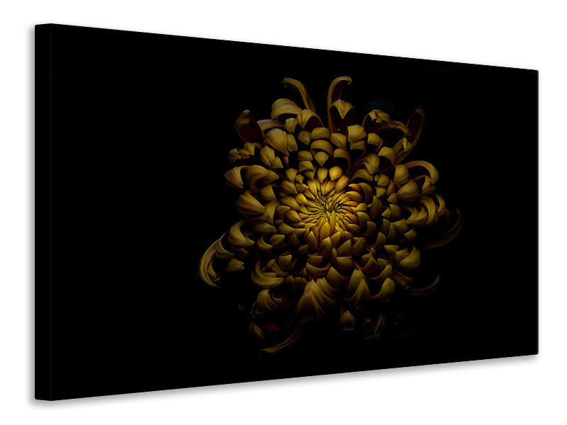 canvas-print-chrysanthemum