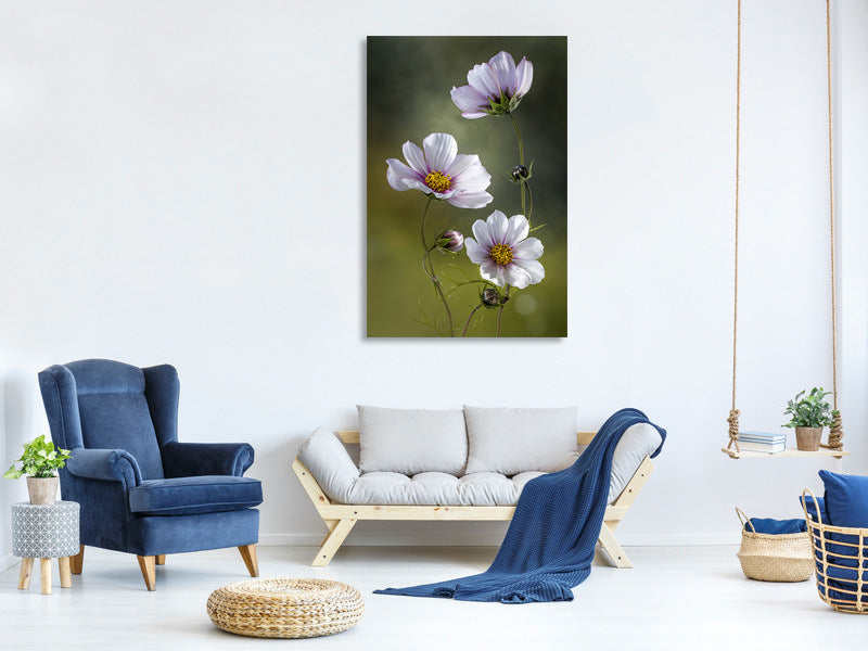 canvas-print-cosmos-ii