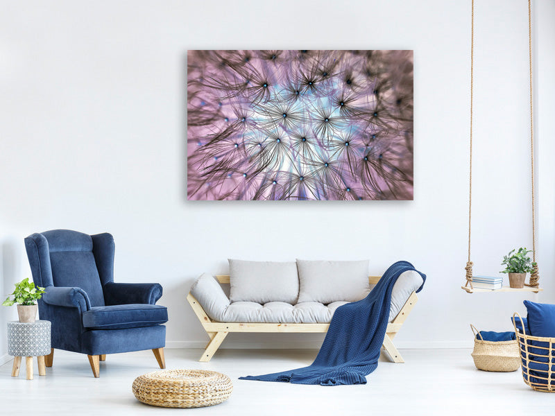 canvas-print-dandelion-in-the-light-play