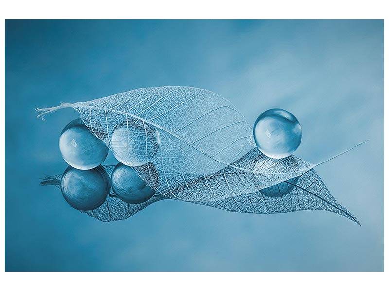 canvas-print-dry-leaf-and-bubbles-x