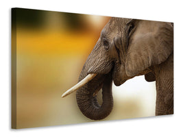 canvas-print-elephant-close-up