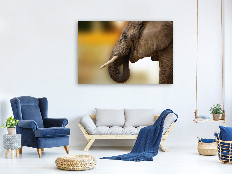 canvas-print-elephant-close-up