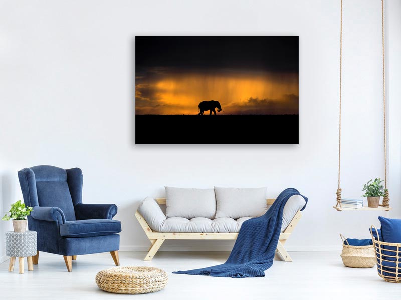 canvas-print-elephant-in-a-rain-storm-at-sunset-x