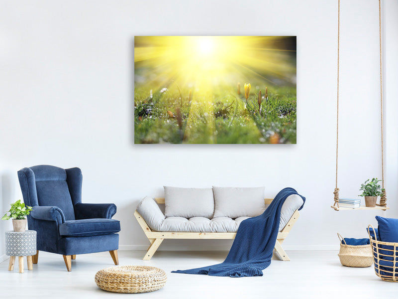 canvas-print-flowery-meadow