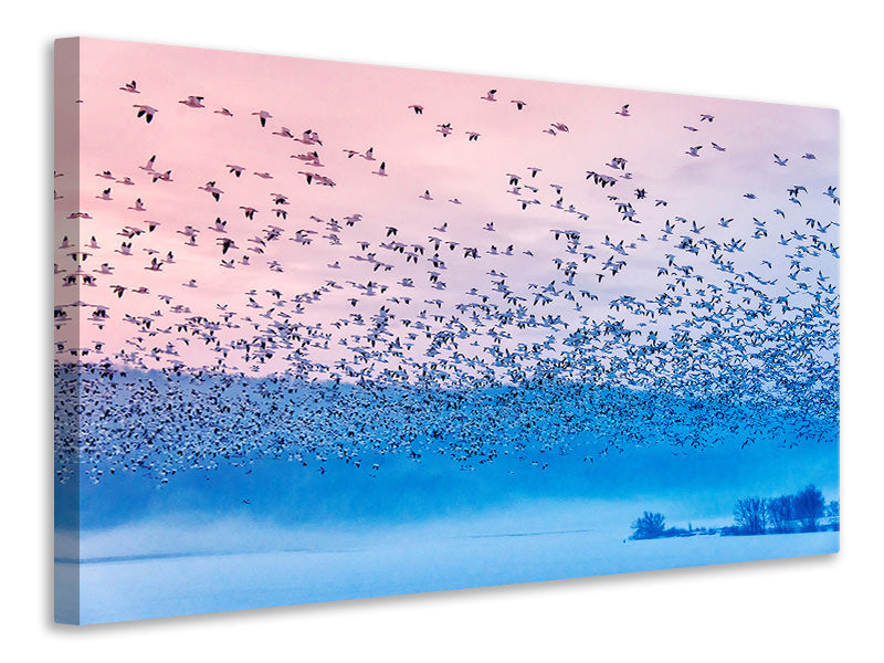 canvas-print-flying-in-the-fogging-morning