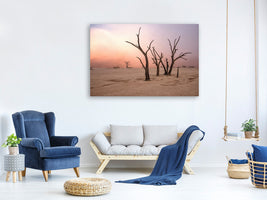 canvas-print-fog-in-deadvlei