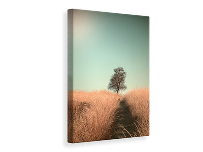 canvas-print-grass-and-path