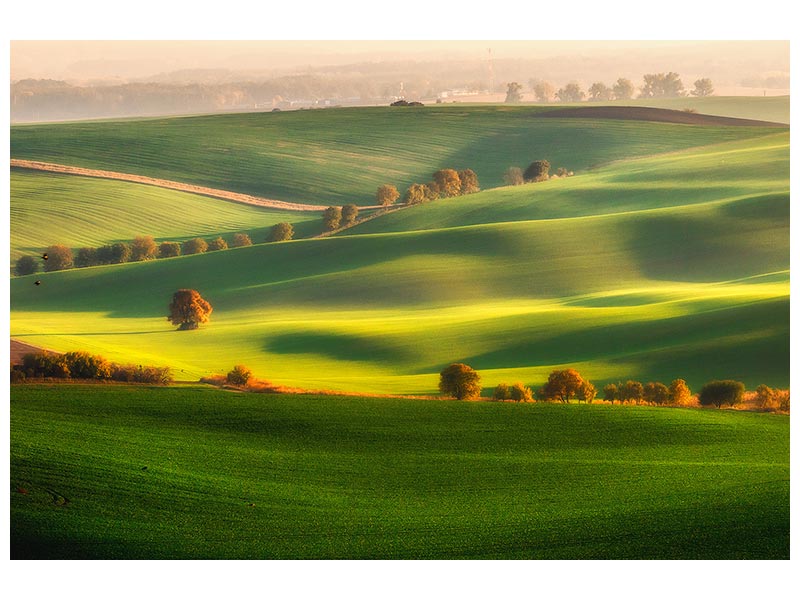 canvas-print-green-fields-x