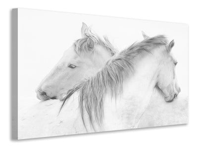 canvas-print-horses