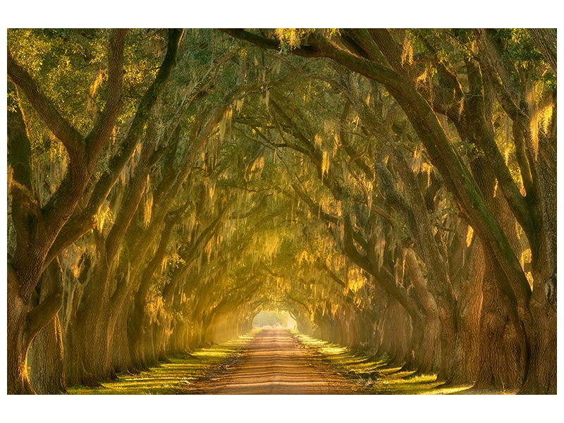 canvas-print-illumination-alley-x