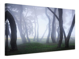 canvas-print-into-the-mist-xcg