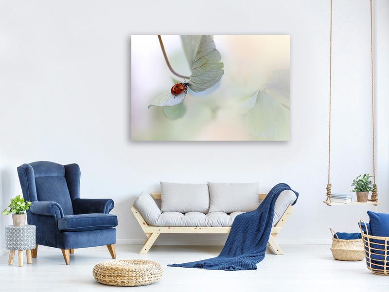 canvas-print-ladybird-on-bluegreen-hydrangea-x