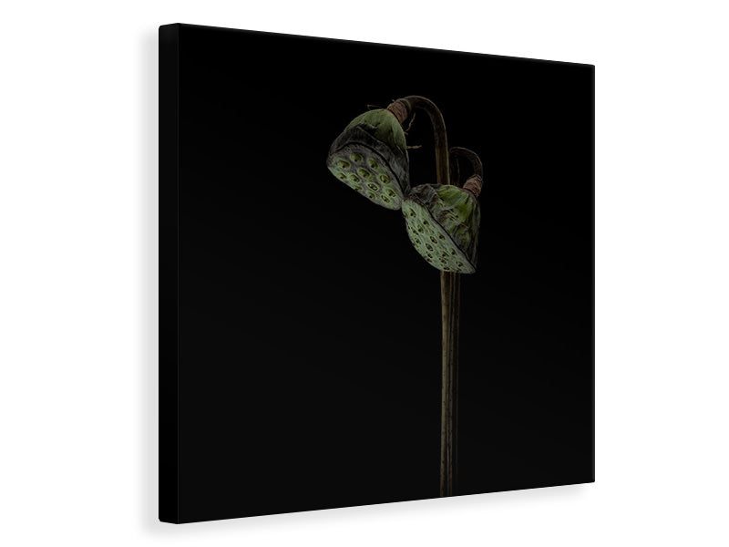 canvas-print-lotus-heads