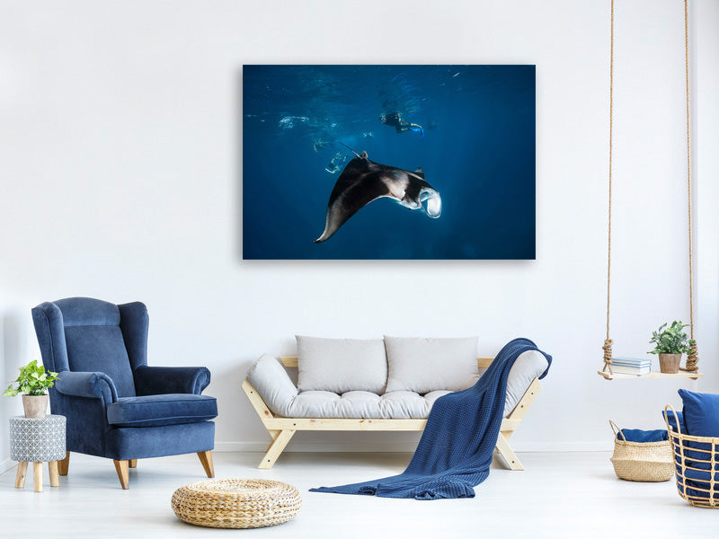 canvas-print-manta-ray-ii