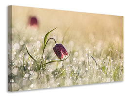 canvas-print-morningdew