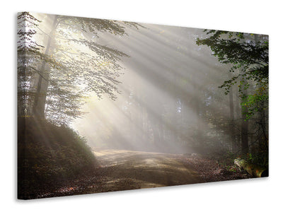 canvas-print-mystical-light-in-the-forest