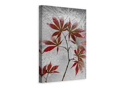 canvas-print-red-maple-x