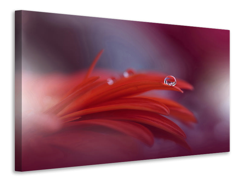 canvas-print-red-passion