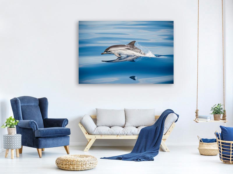 canvas-print-striped-dolphin-x