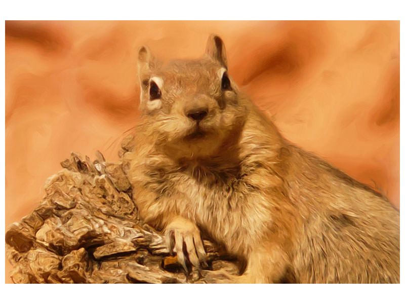 canvas-print-sweet-squirrel