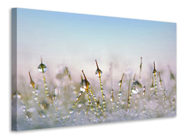 canvas-print-the-dew-drops