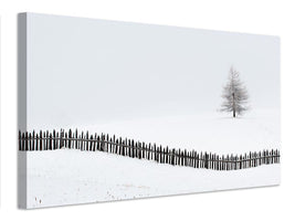 canvas-print-the-larch-behind-the-fence-x