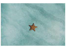 canvas-print-the-little-starfish