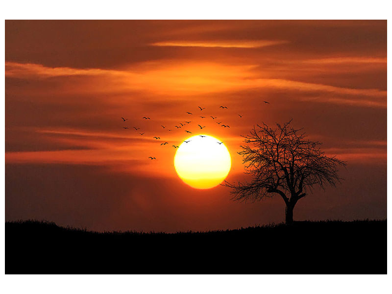 canvas-print-the-sunset-on-the-horizon