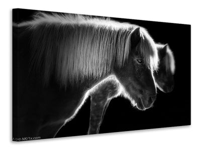 canvas-print-two-beautiful-horses