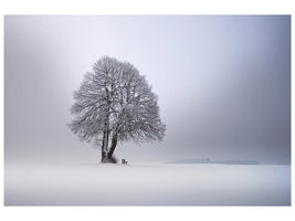 canvas-print-winter-light-xpy