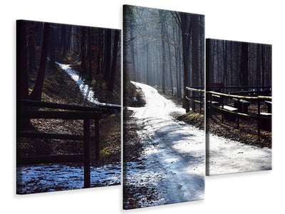 modern-3-piece-canvas-print-a-path-in-the-snow