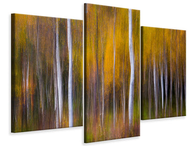 modern-3-piece-canvas-print-abstract-fall