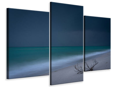panoramic-canvas-print-the-seagulls-and-the-sea-at-sunrise