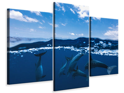modern-3-piece-canvas-print-between-air-and-water-with-the-dolphins